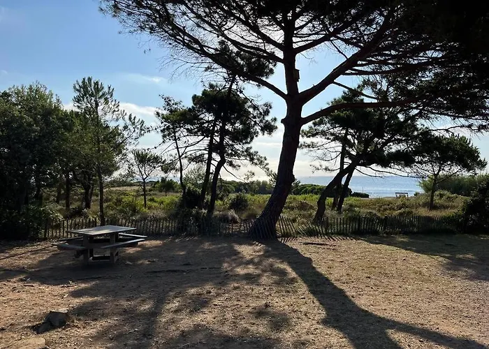 Vue Mer Exceptionnelle - Mas T3 - Plages Nartelle & Sardinaux